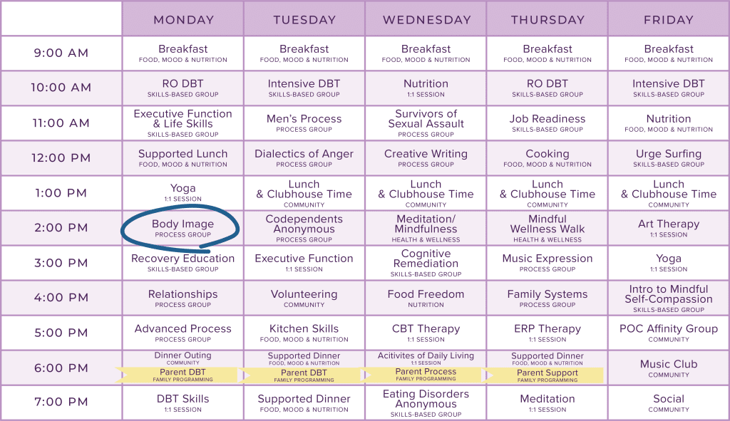 Diego's Treatment Plan and Schedule