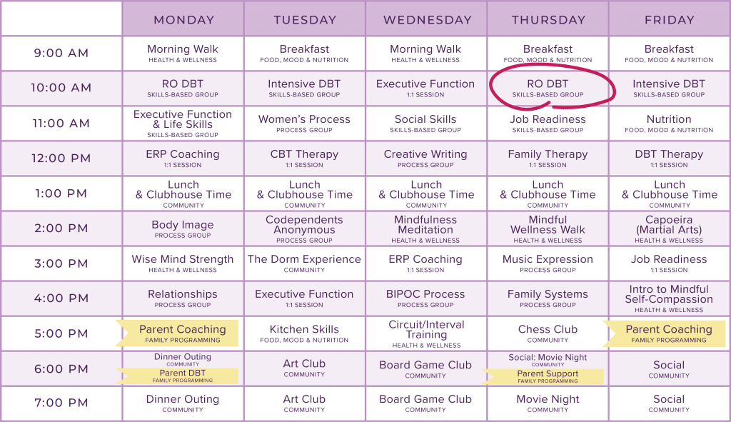 Nyah's Treatment Plan and Schedule