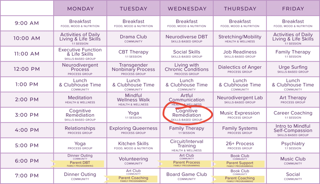 Sydney's Treatment Plan & Schedule